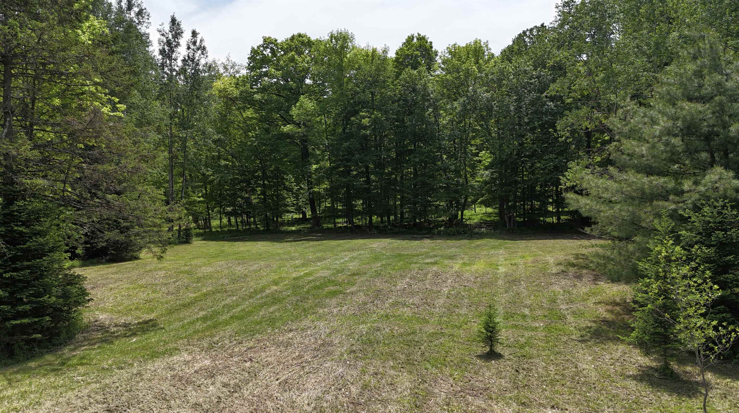 Hill Road Birnamwood, WI 54414 - Photo 4 of 4