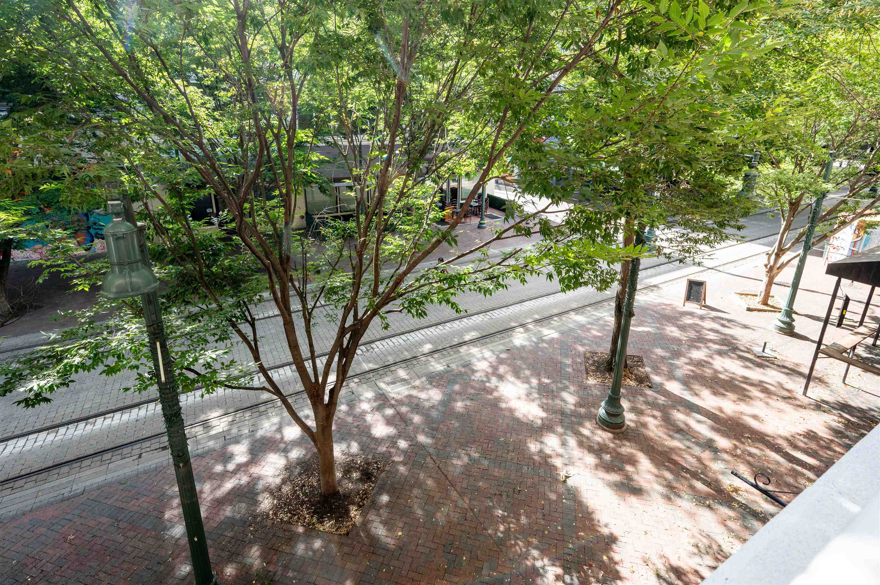95 South Main Street, Unit 204 Memphis, TN 38103 - Photo 16 of 18 a view of a tree
