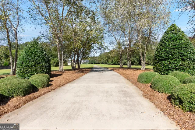 a view of a brick house with a large windows potted plants and a large tree