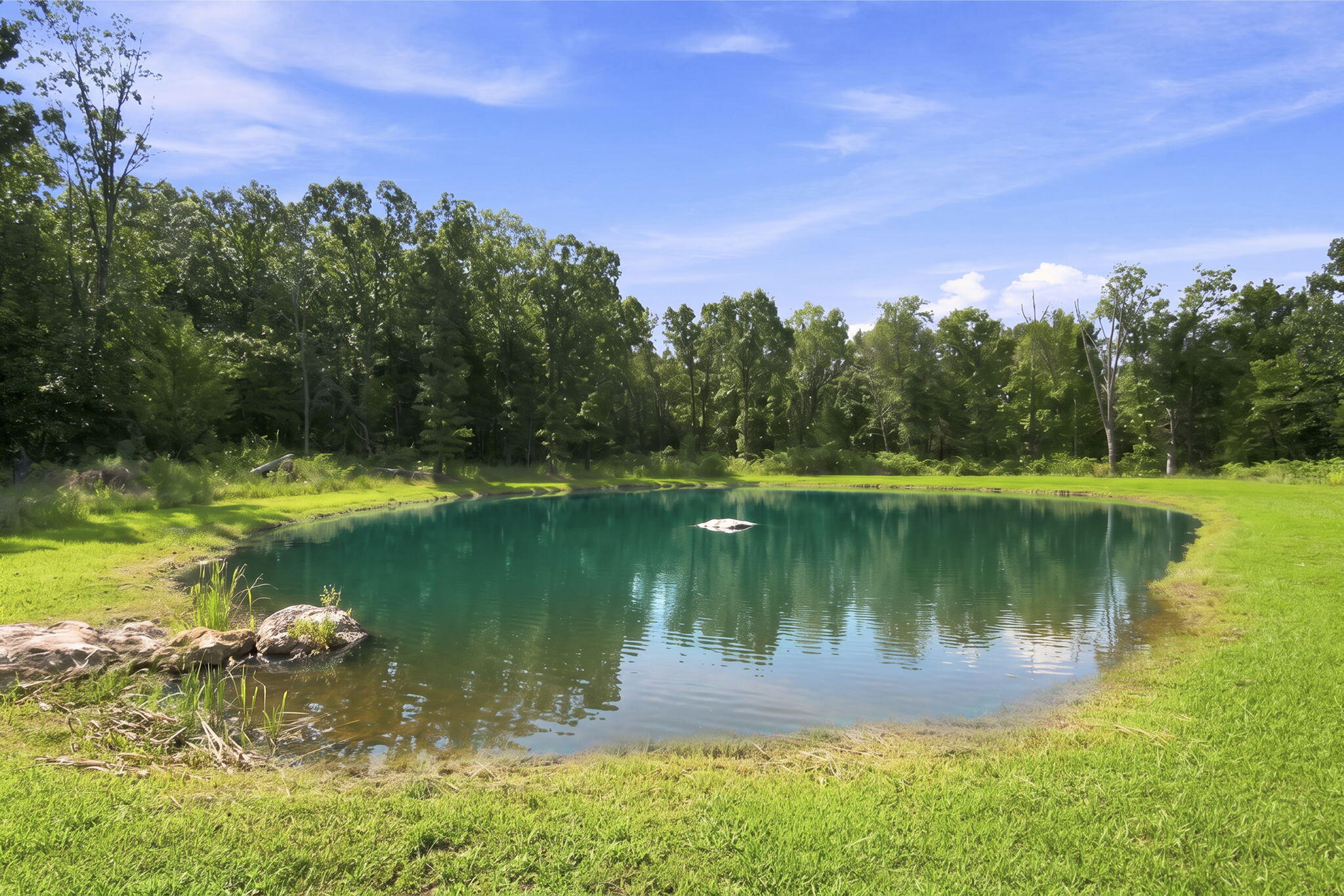 1295 Spring Valley Loop Marshfield, MO 65706 - Photo 38 of 44 38-web-or-mls-DSC01217 (2)