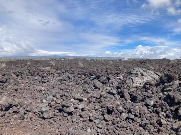 a view of a dry yard