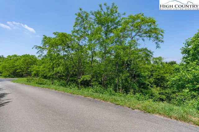 a view of a bunch of trees