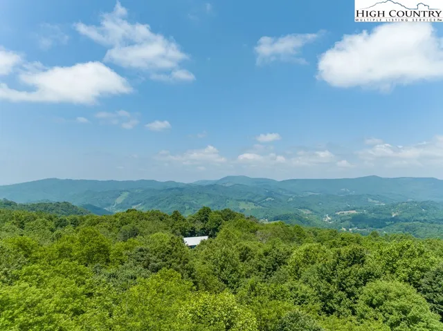 a view of a green field