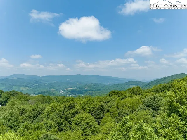 a view of a green field with lots of bushes