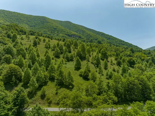 a map view of a forest