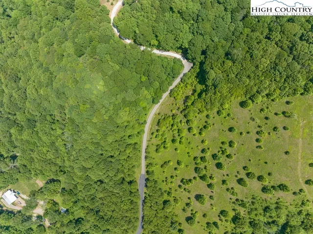 a view of a lush green outdoor space with a mountain