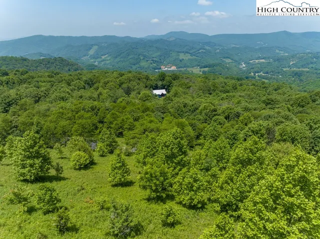 a view of a lush green space