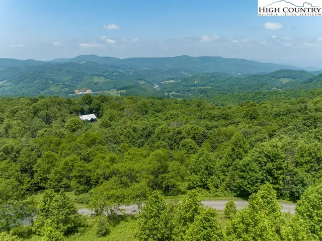 a view of a big yard with plants and large tree