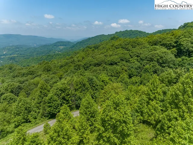 a view of a pathway with a garden