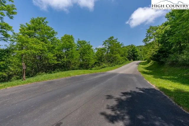 a view of a yard with potted plants