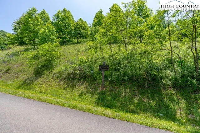 a view of a lush green forest with lots of trees