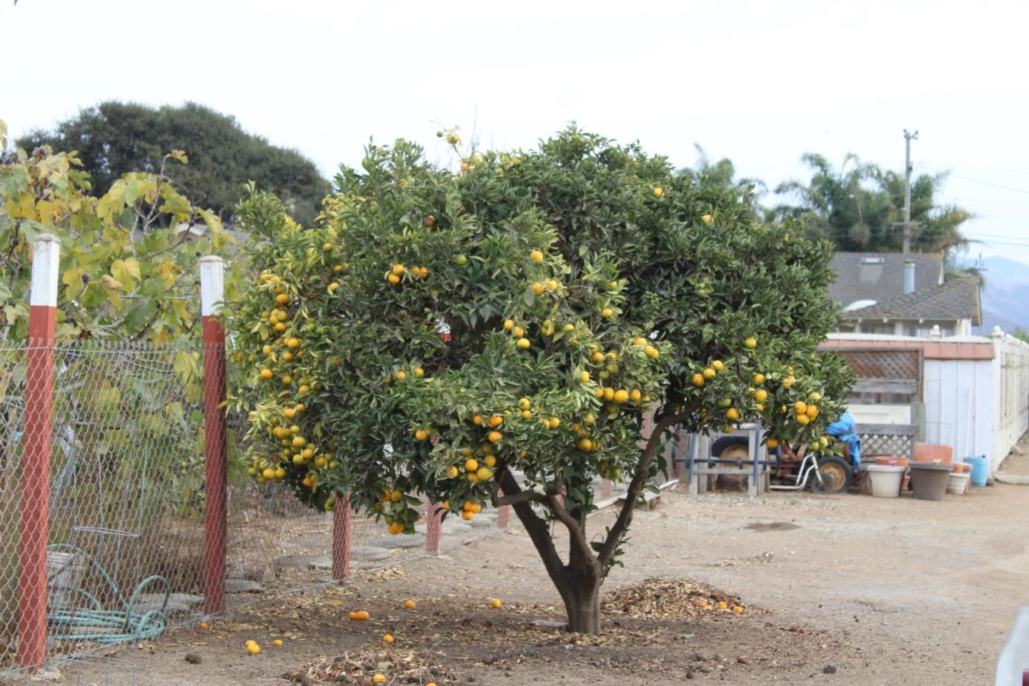 667 Middlefield Road Salinas, CA 93906 - Photo 22 of 25 Gallery Image 22