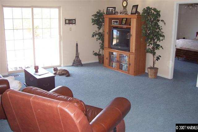 3200 Bacon Rind Road Reno, NV 89510 - Photo 4 of 9 a living room with furniture a window and potted plant
