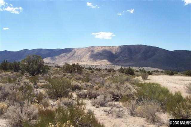 3200 Bacon Rind Road Reno, NV 89510 - Photo 6 of 9 a view of a large mountain in the distance in a field