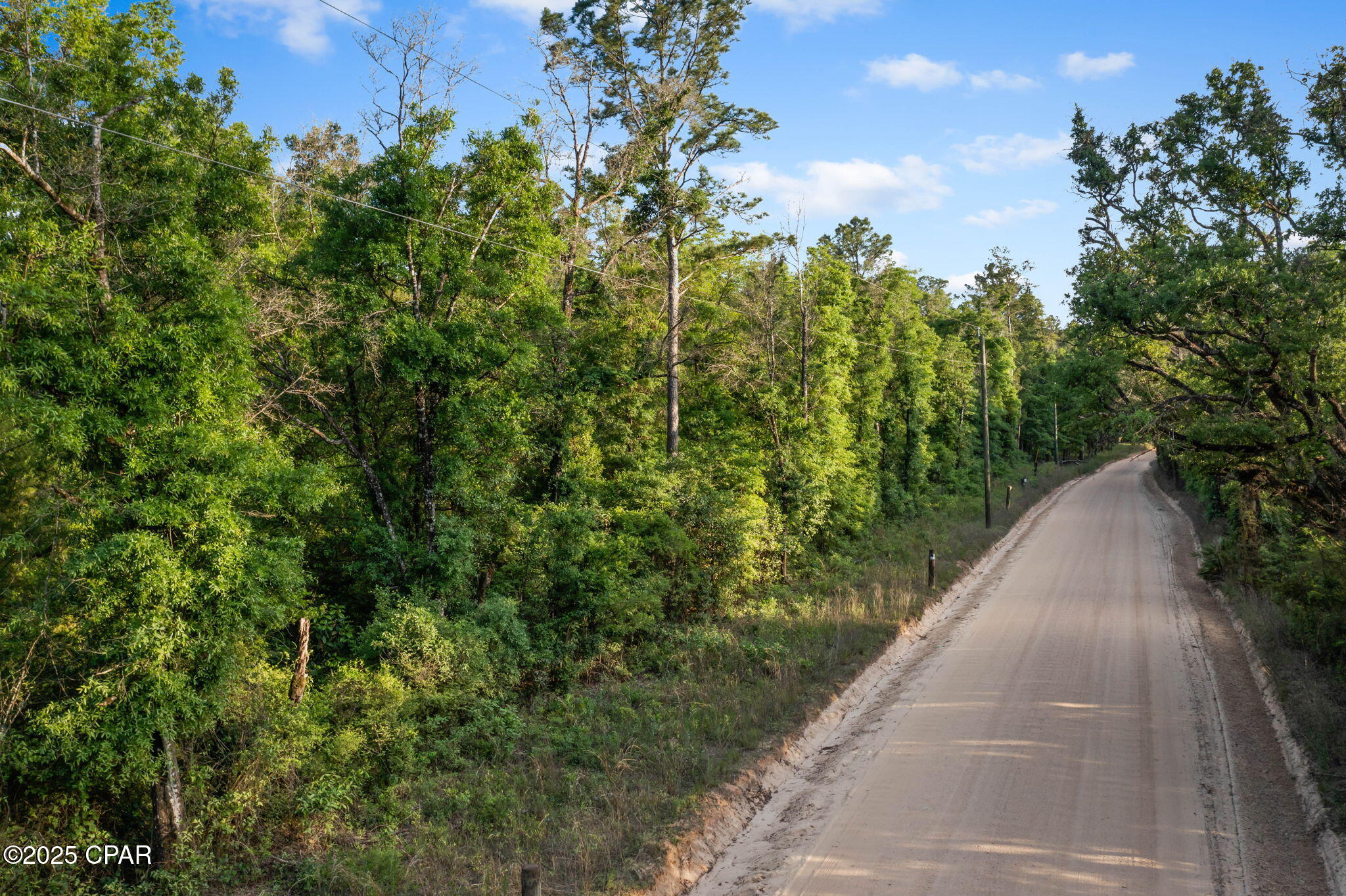 Xxx Skipper Road Vernon, FL 32462 - Photo 1 of 17