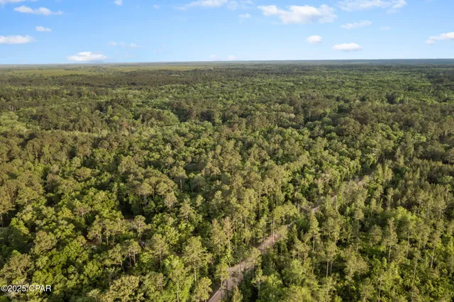 $29,999 | Xxx Skipper Road, Vernon, FL 32462