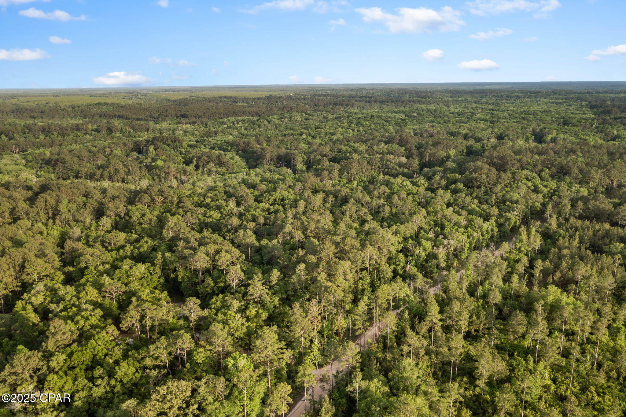 Xxx Skipper Road Vernon, FL 32462 - Photo 11 of 17