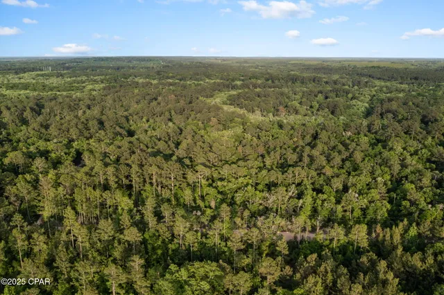 $29,999 | Xxx Skipper Road, Vernon, FL 32462