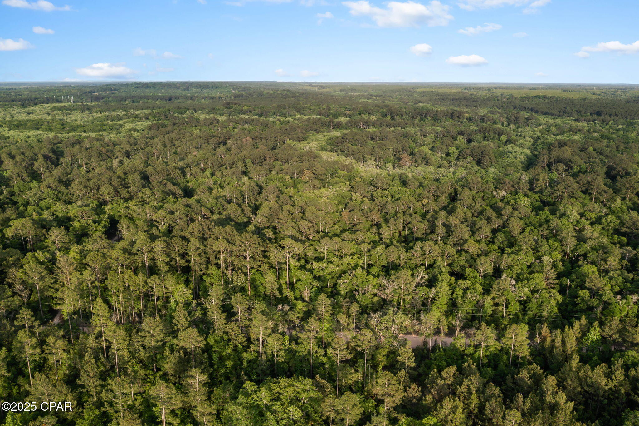 Xxx Skipper Road Vernon, FL 32462 - Photo 12 of 17