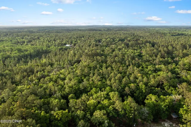 $29,999 | Xxx Skipper Road, Vernon, FL 32462