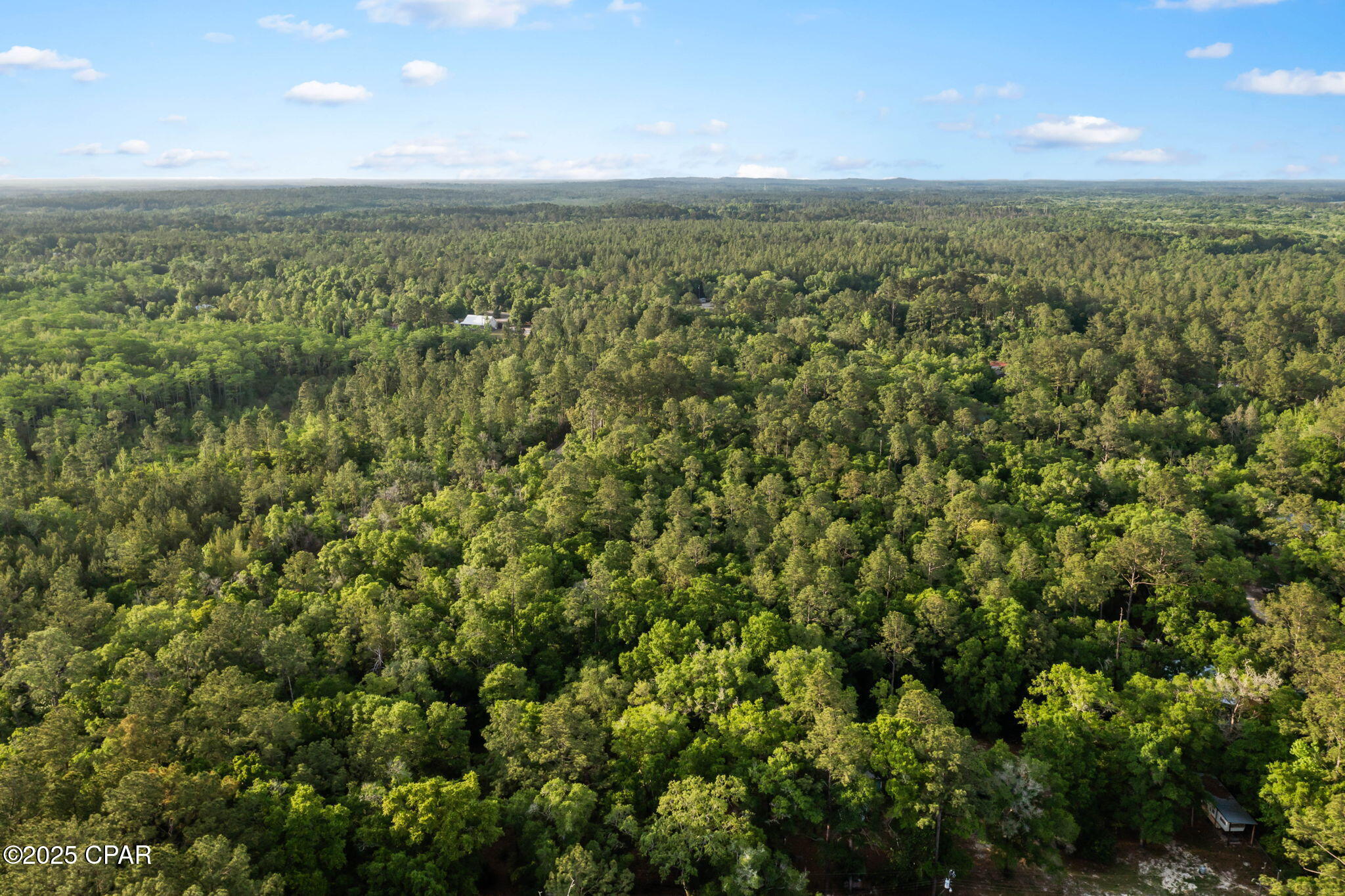 Xxx Skipper Road Vernon, FL 32462 - Photo 13 of 17