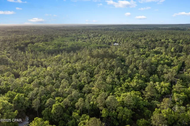 $29,999 | Xxx Skipper Road, Vernon, FL 32462