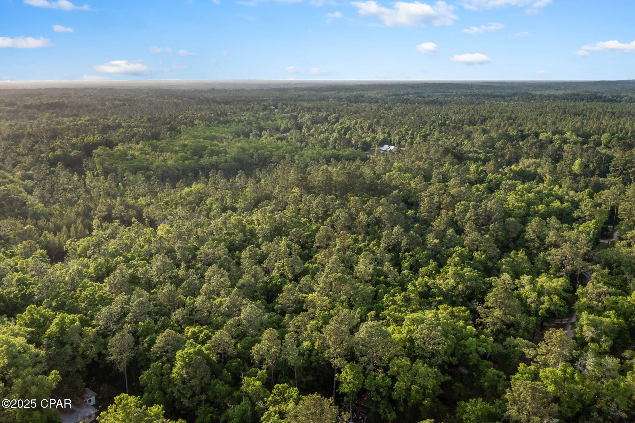 Xxx Skipper Road Vernon, FL 32462 - Photo 14 of 17