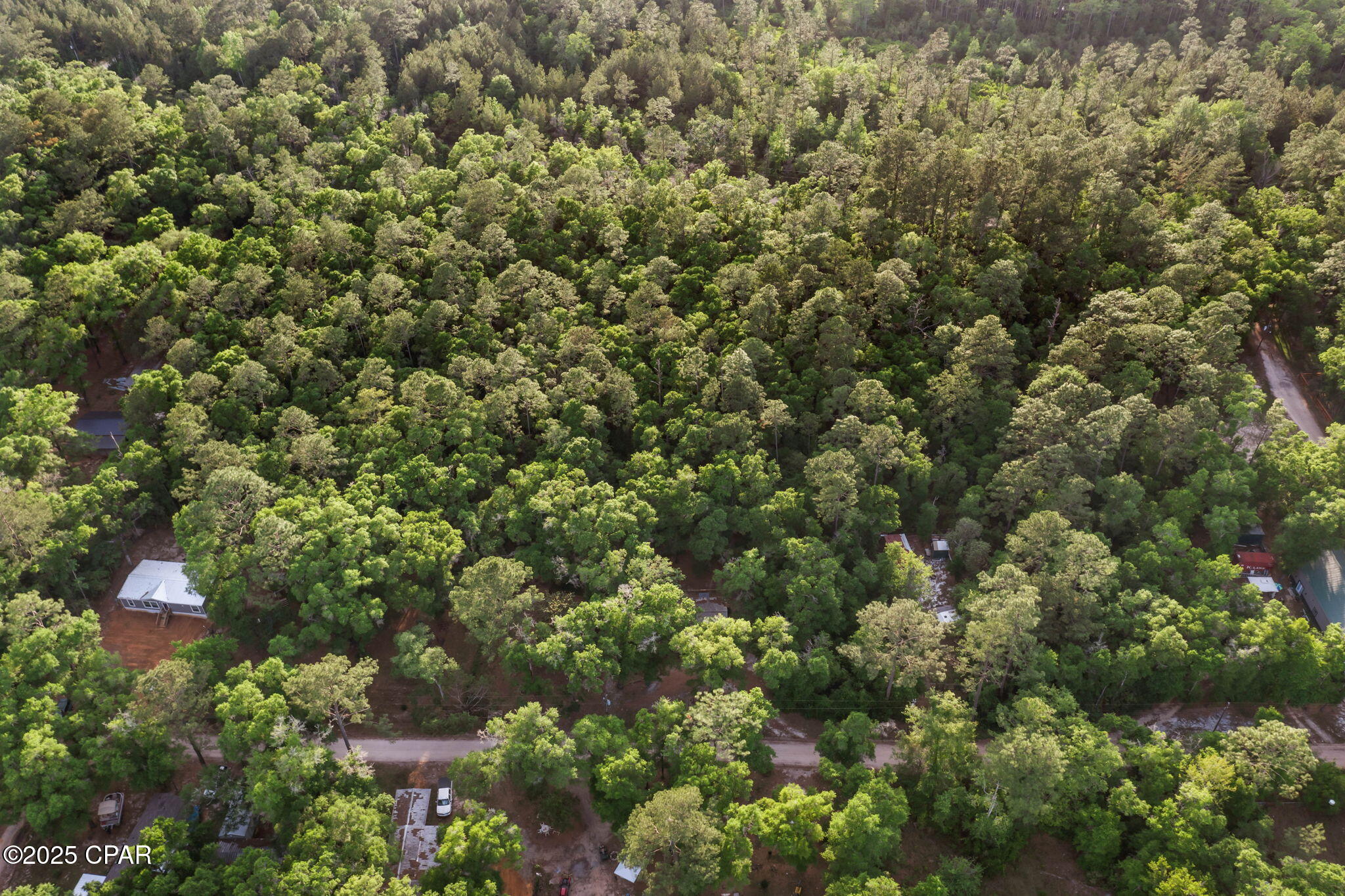 Xxx Skipper Road Vernon, FL 32462 - Photo 15 of 17