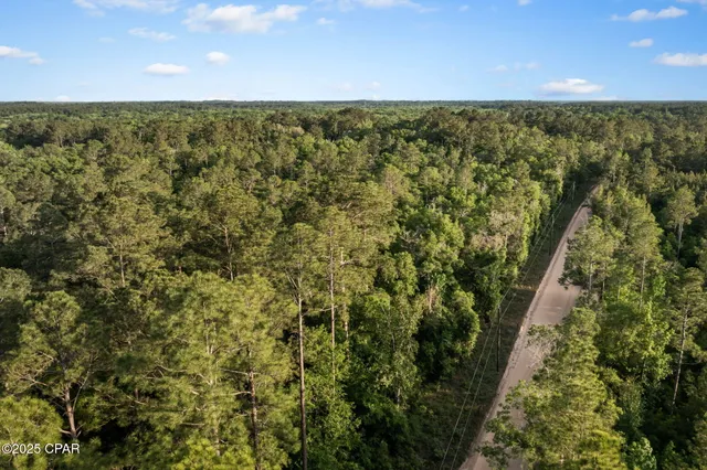 $29,999 | Xxx Skipper Road, Vernon, FL 32462