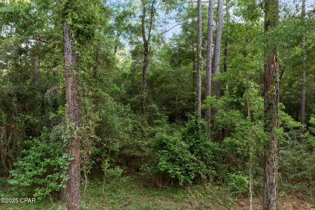 $29,999 | Xxx Skipper Road, Vernon, FL 32462