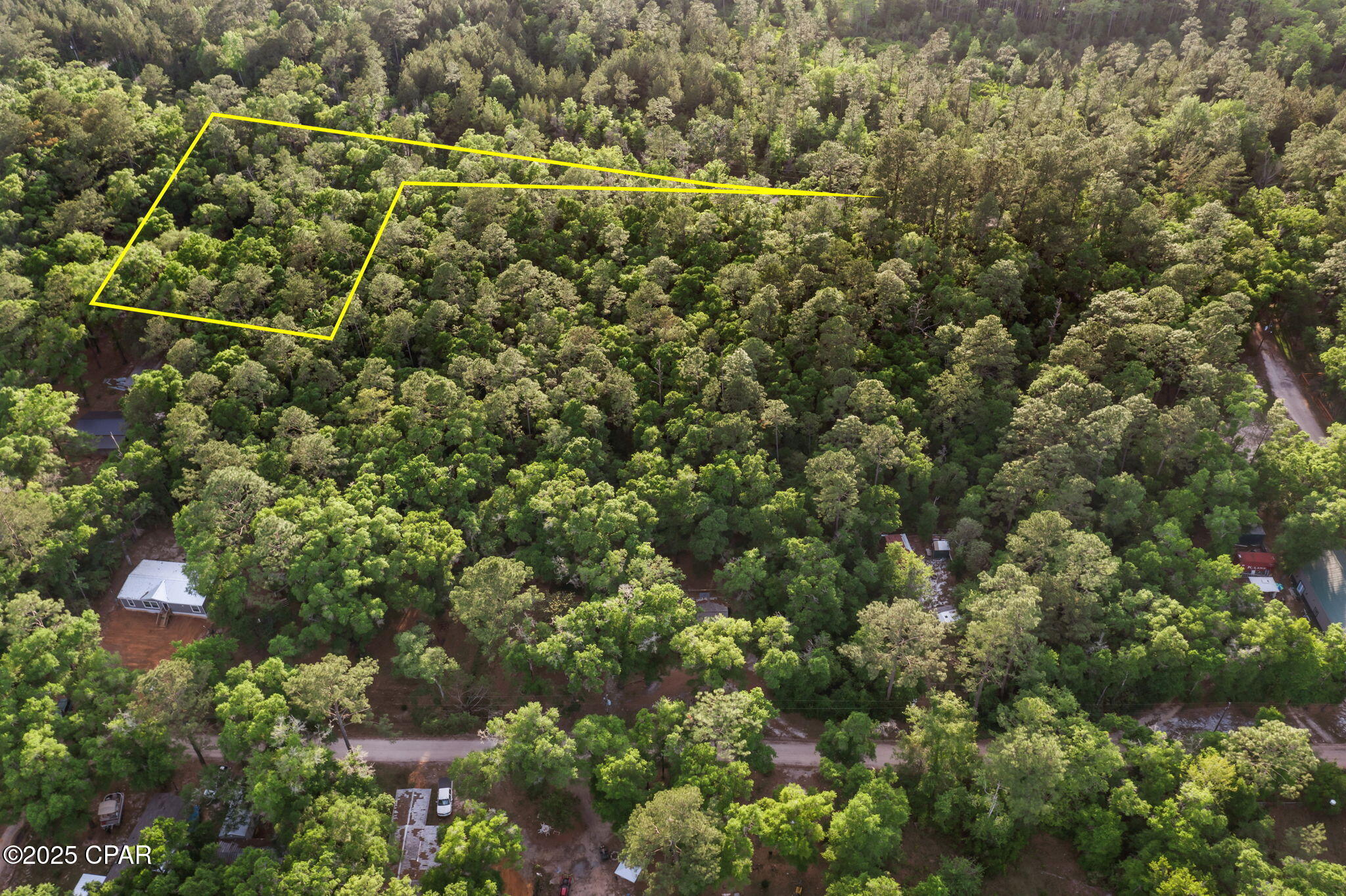 Xxx Skipper Road Vernon, FL 32462 - Photo 4 of 17