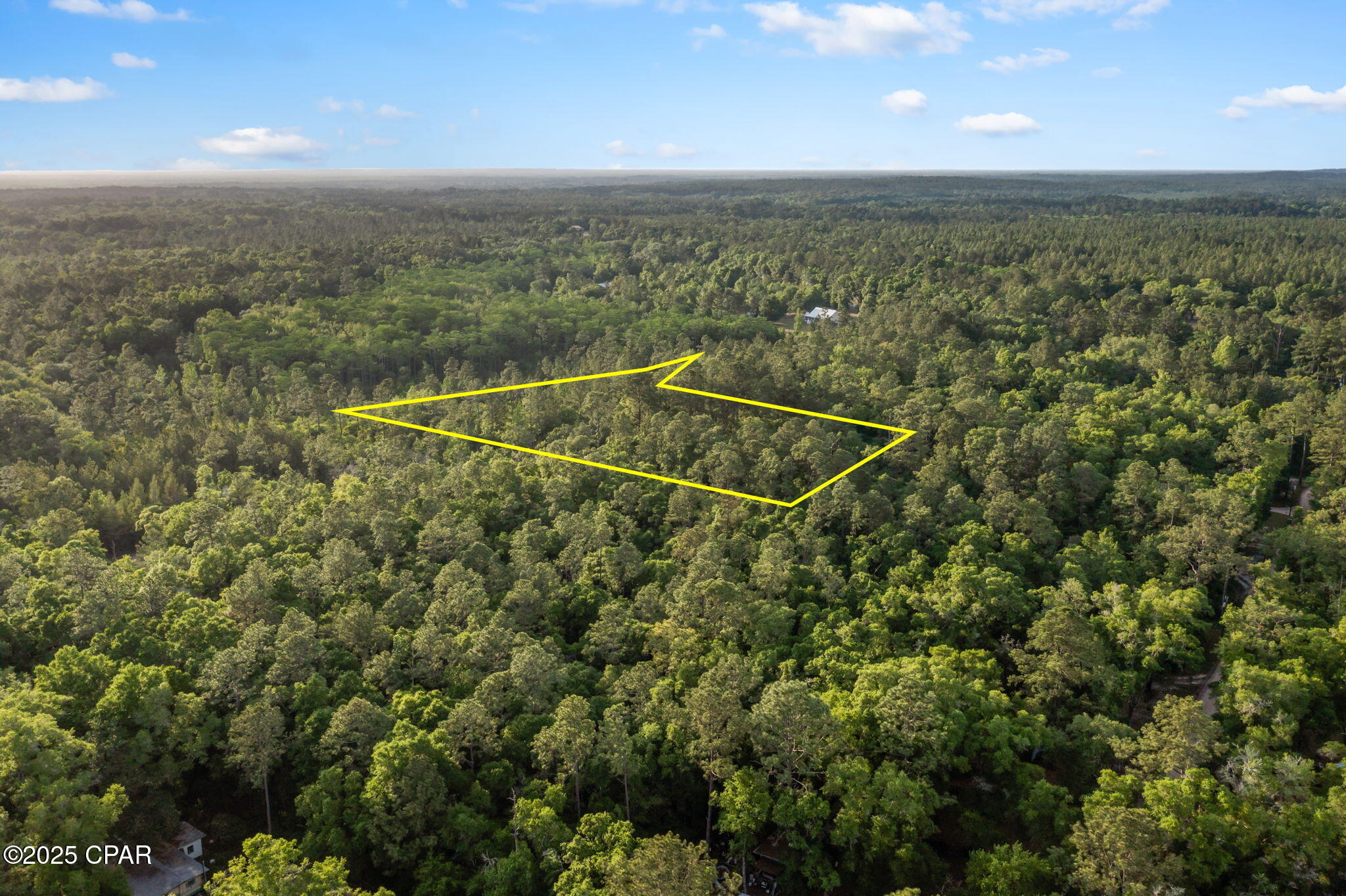 Xxx Skipper Road Vernon, FL 32462 - Photo 6 of 17