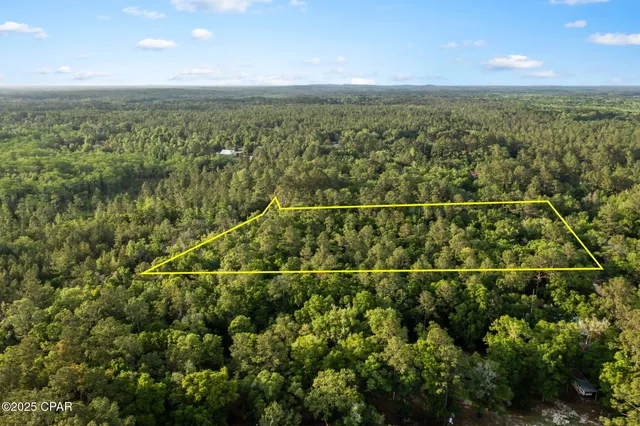 $29,999 | Xxx Skipper Road, Vernon, FL 32462