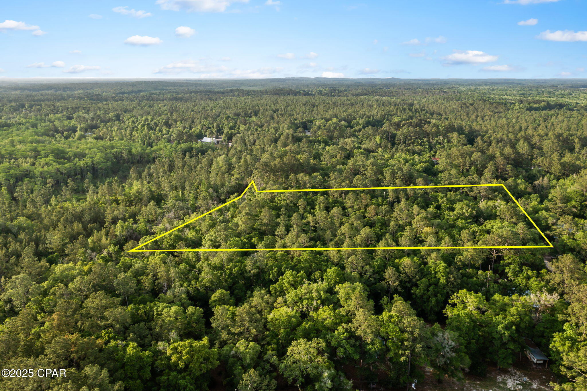 Xxx Skipper Road Vernon, FL 32462 - Photo 7 of 17