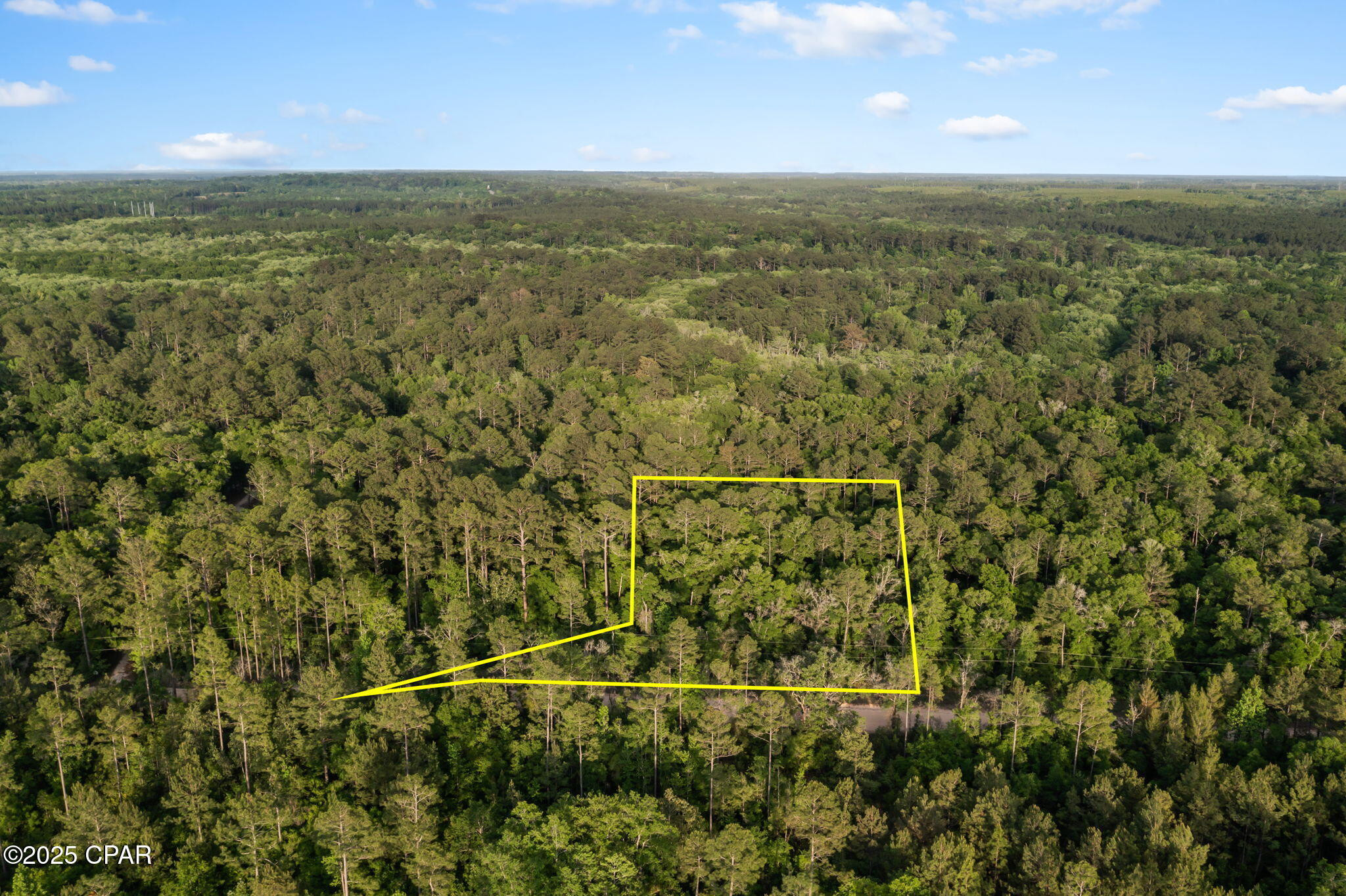 Xxx Skipper Road Vernon, FL 32462 - Photo 8 of 17