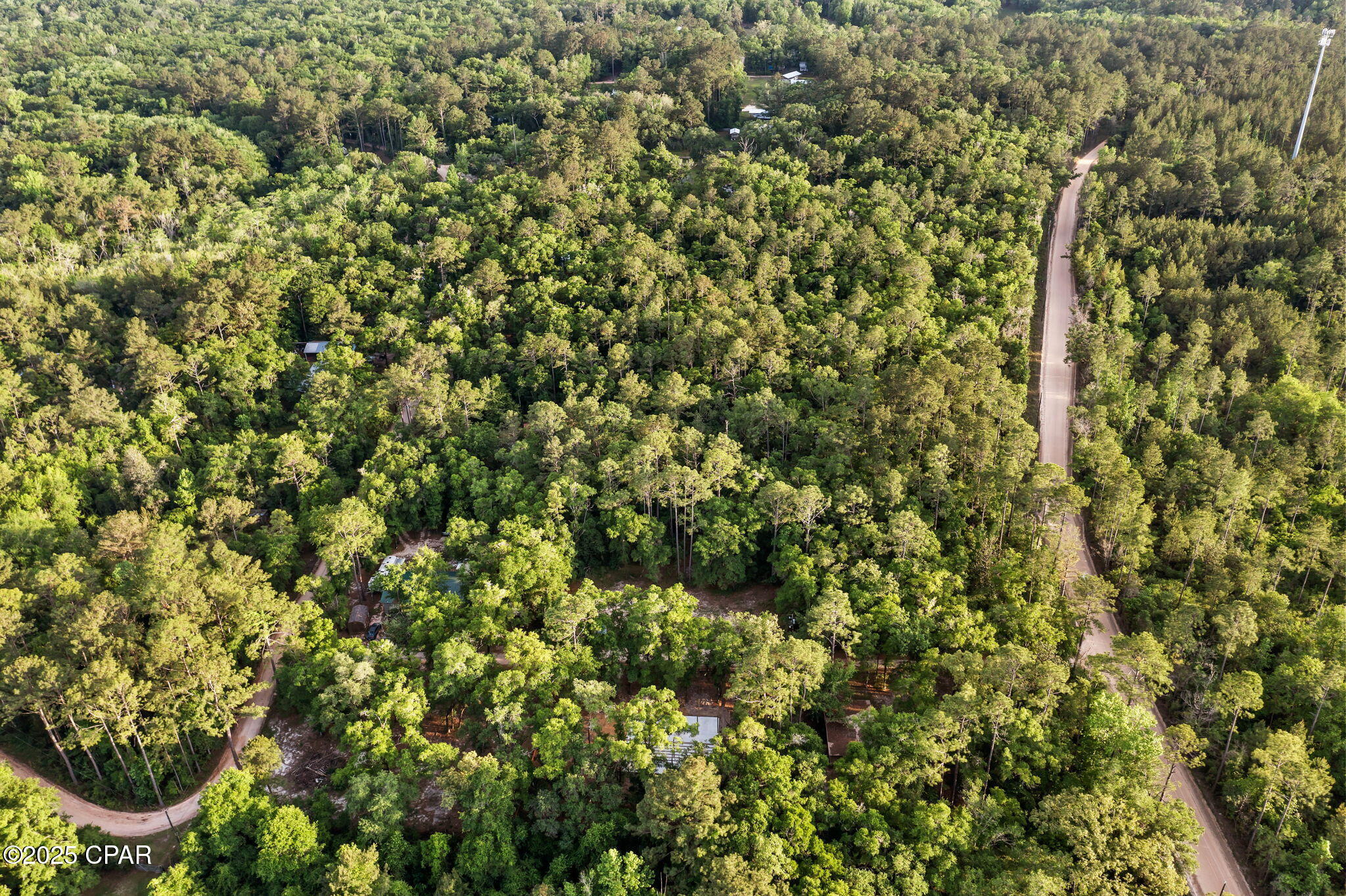 Xxx Skipper Road Vernon, FL 32462 - Photo 9 of 17