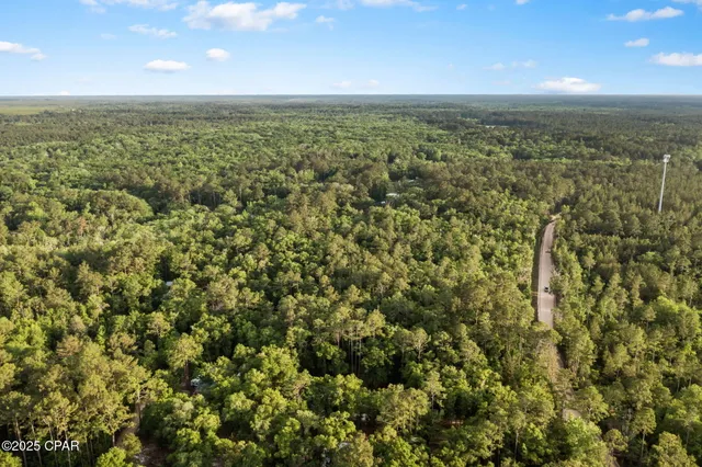 $29,999 | Xxx Skipper Road, Vernon, FL 32462