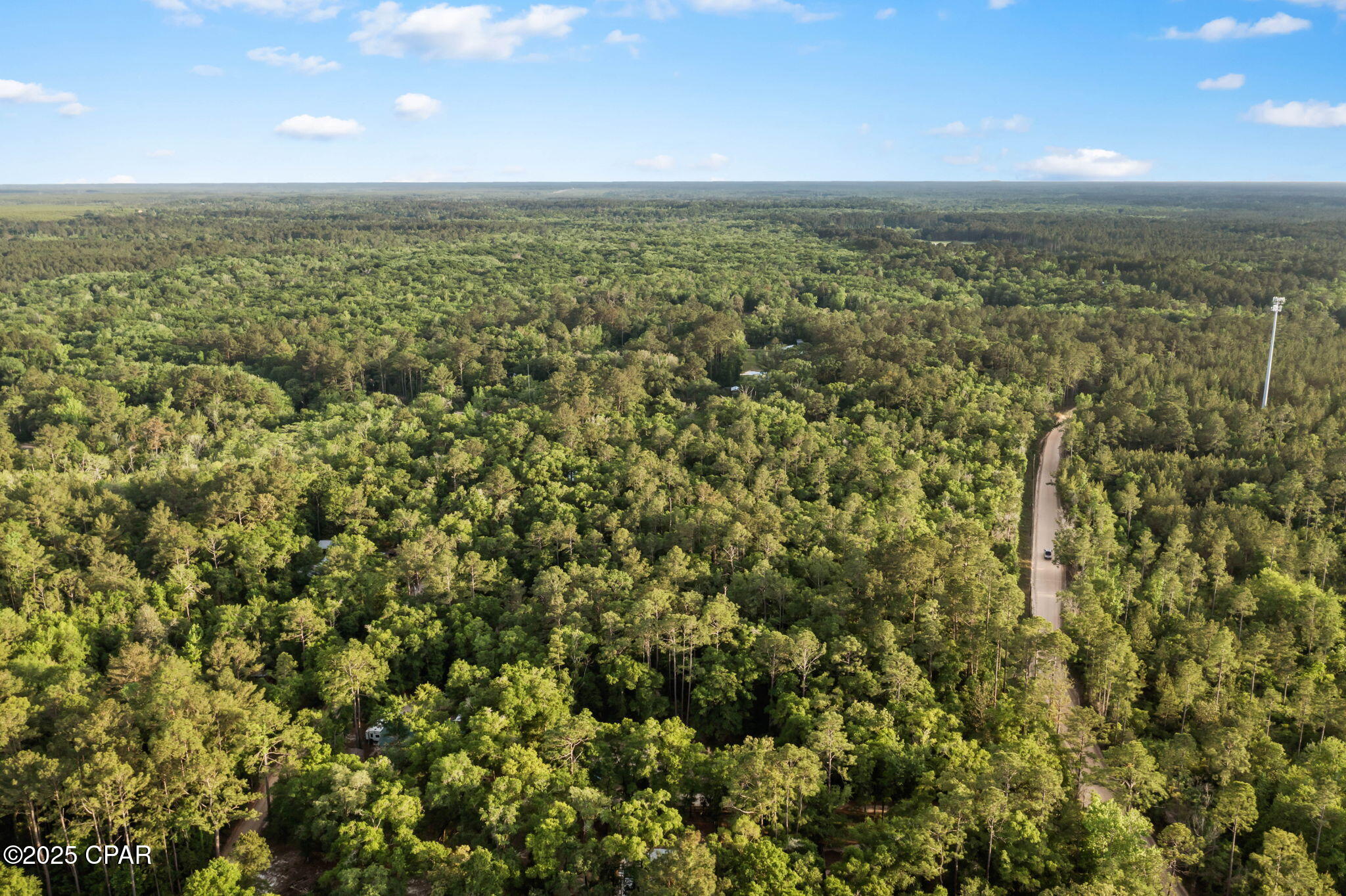 Xxx Skipper Road Vernon, FL 32462 - Photo 10 of 17