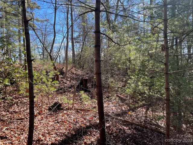 $93,000 | 0 Willow Run Lane, Unit 12, Zirconia, NC 28790