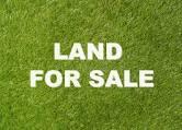 1557 Tallokas Road Quitman, GA 31643 - Photo 1 of 1 Gallery Image 1