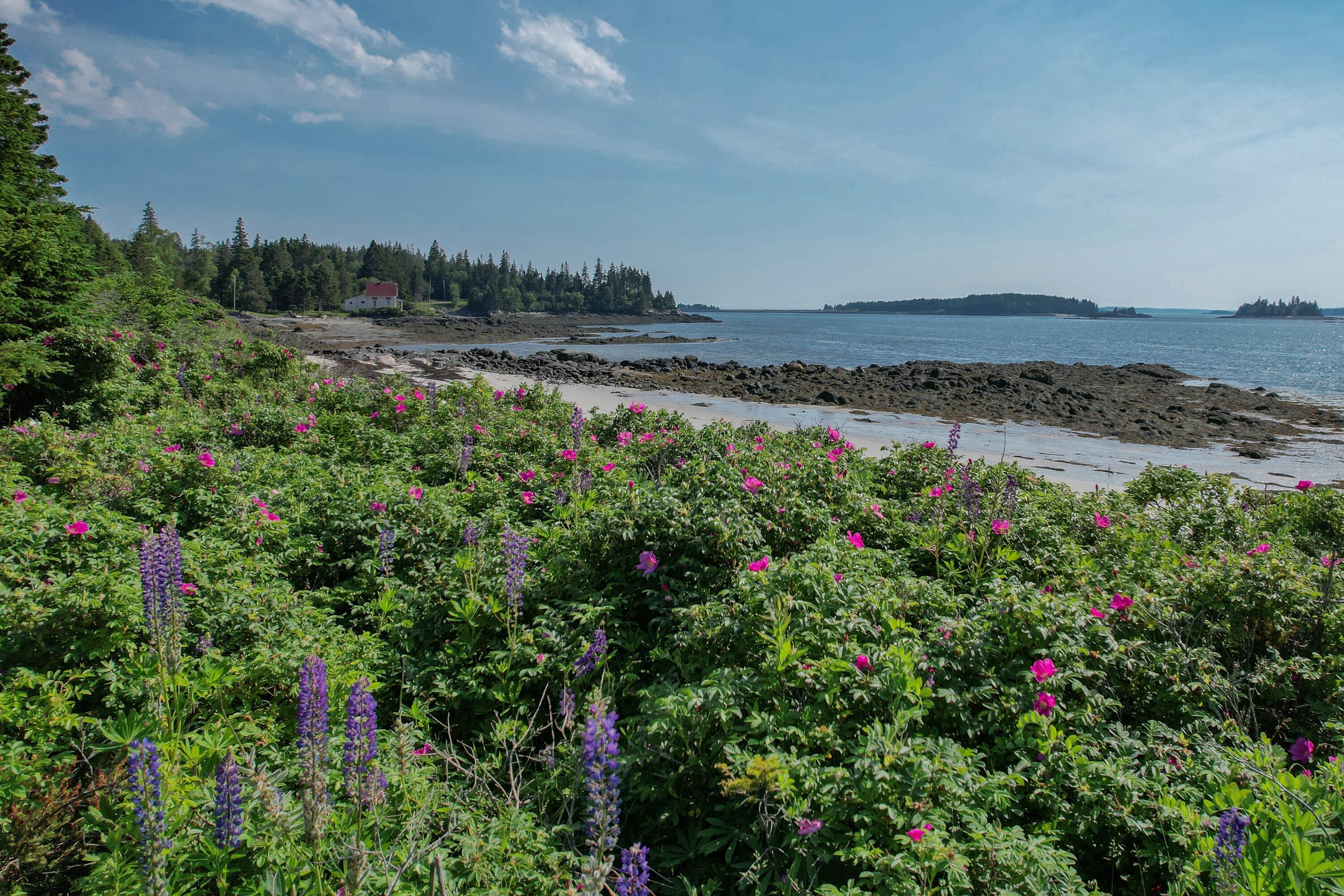 397 Cape Split Road Addison, ME 04606 - Photo 47 of 64