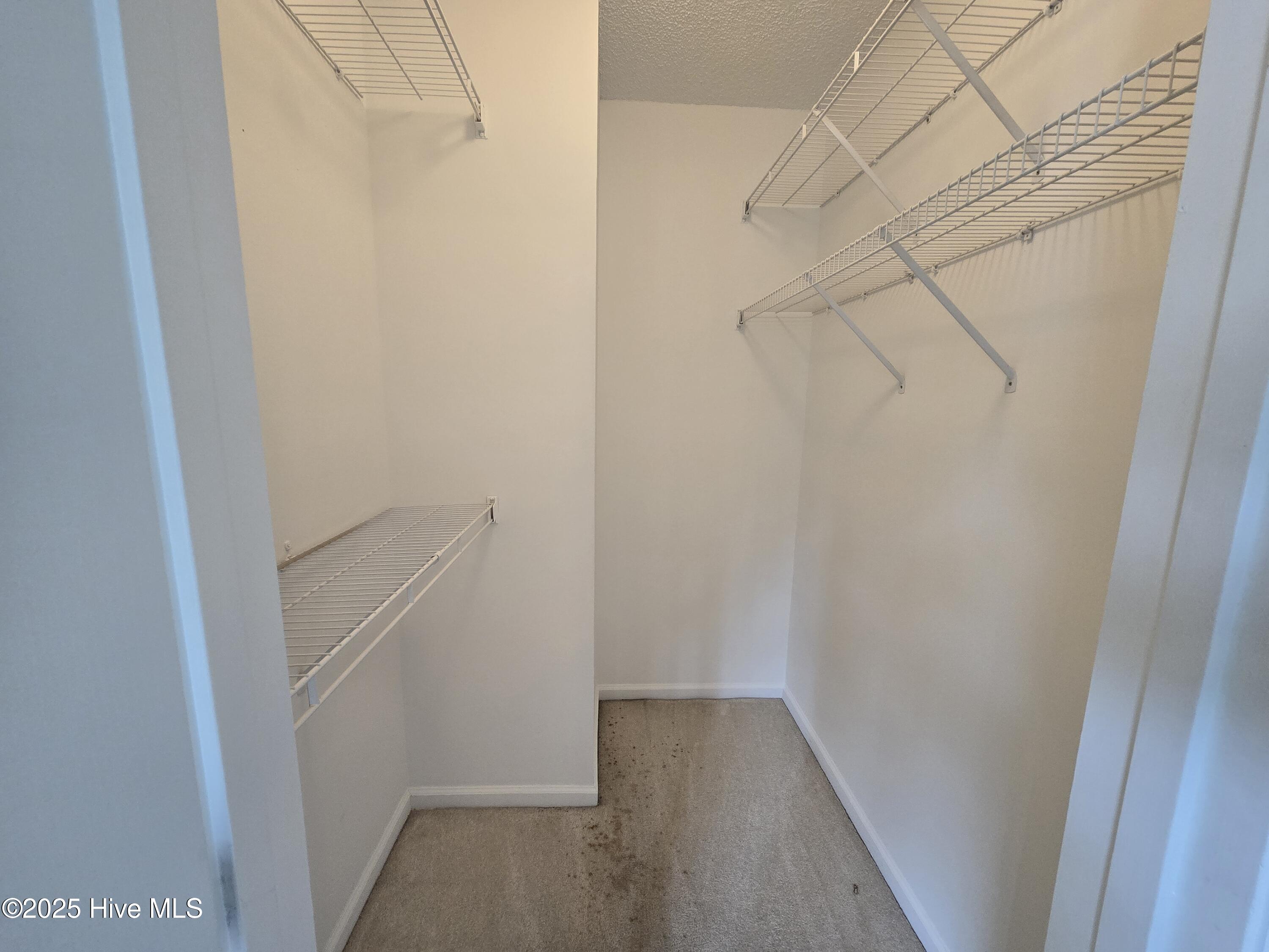 1015 Spring Forest Road, Unit F5 Greenville, NC 27834 - Photo 12 of 15 1000004433