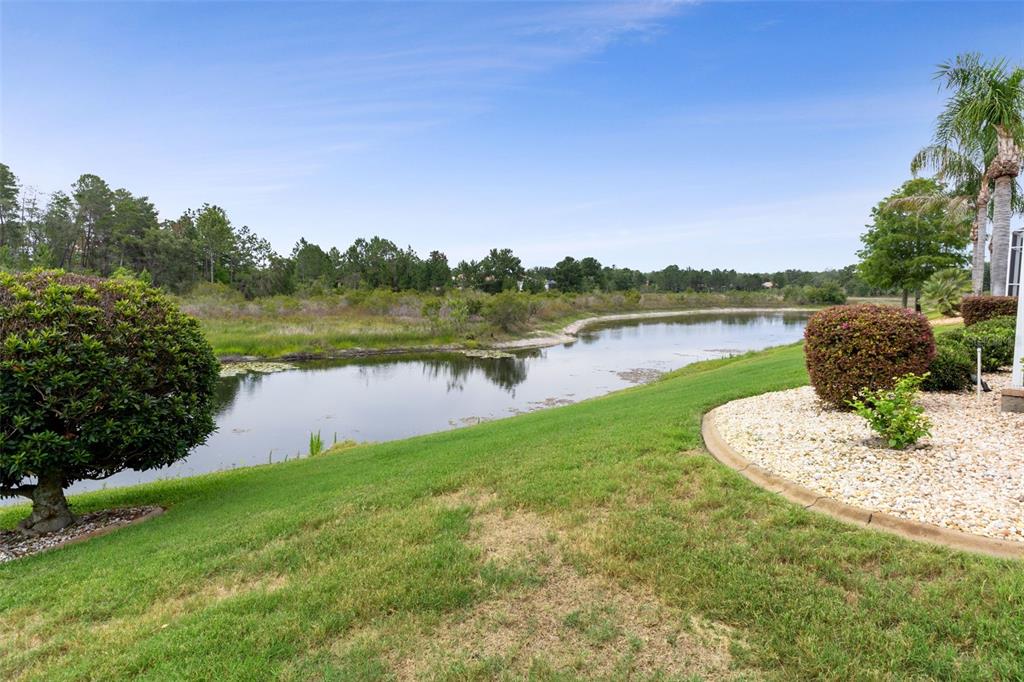 9224 Mississippi Run Weeki Wachee, FL 34613 - Photo 61 of 77