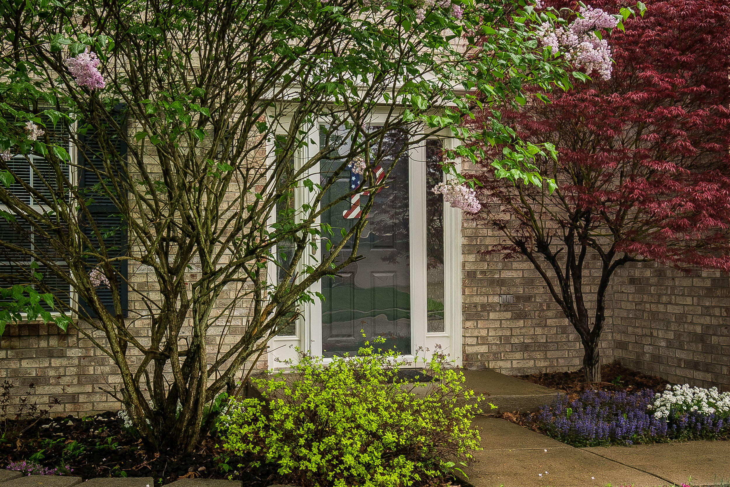 8403 Adams Run Road Louisville, KY 40228 - Photo 4 of 51 8403 Adams Run Road-10