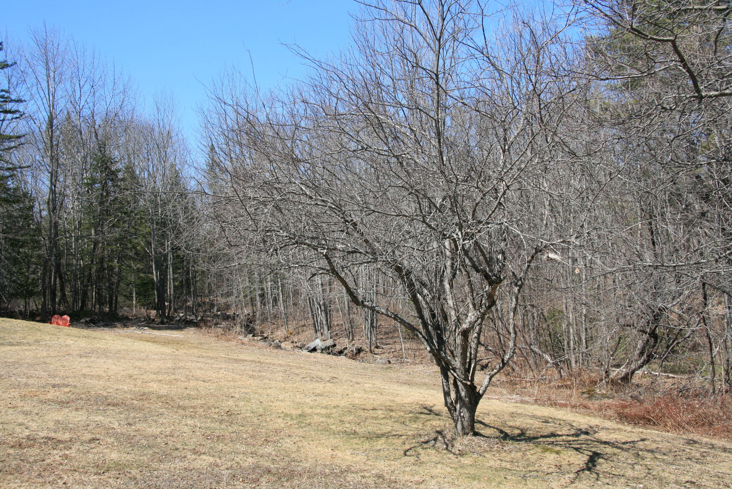 567 Tenney Hill Road Monson, ME 04464 - Photo 24 of 34 IMG_8239