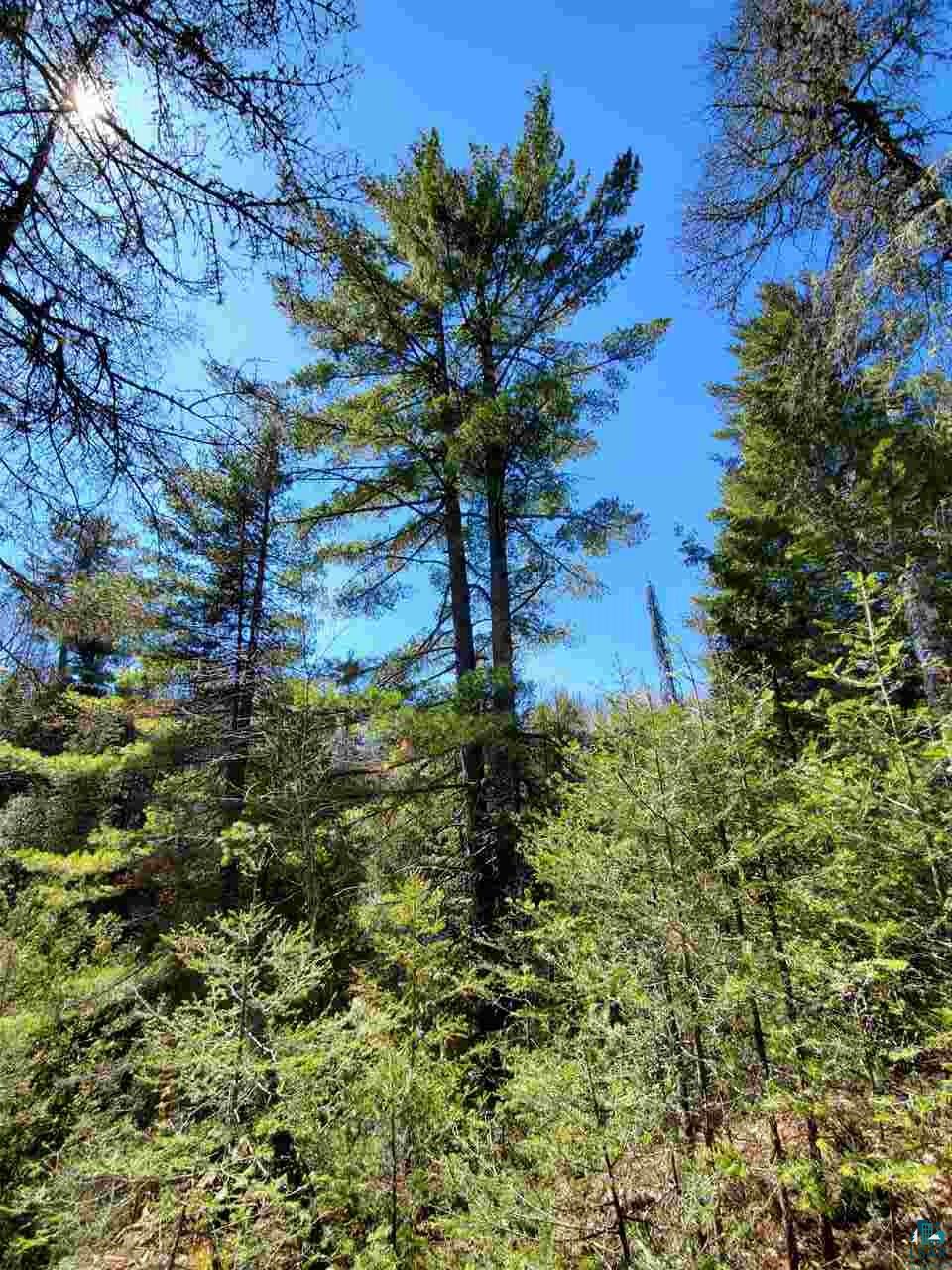 3 Two Harbors Two Harbors, MN 55616 - Photo 22 of 39 Gallery Image 22
