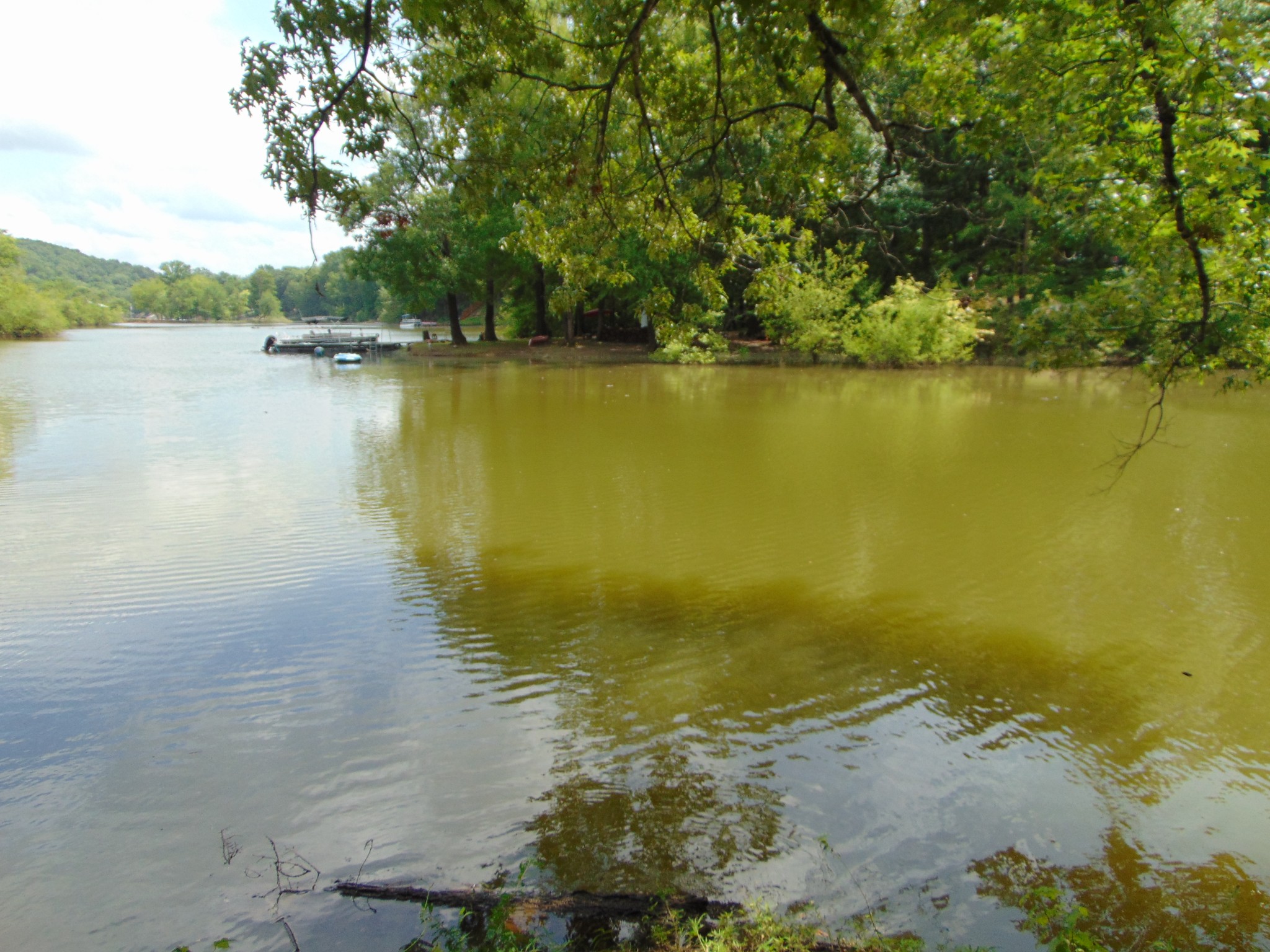 1 Beech Creek Road Clifton, TN 38425 - Photo 19 of 19