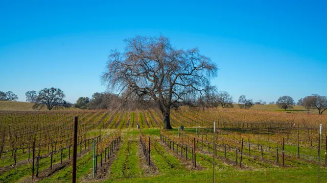 a view of a garage room with chairs