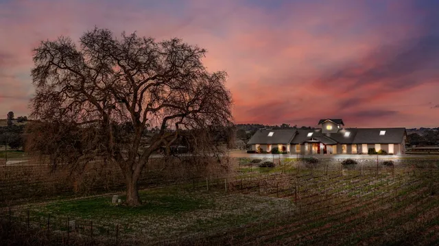 a view of a porch with potted plants