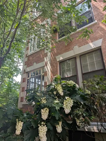 front view of a house